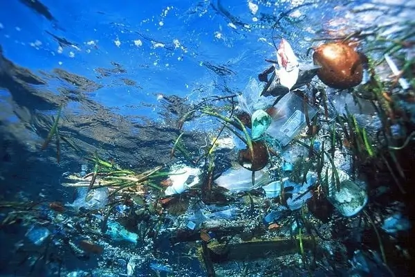 L'île de plastique surnommée Great Pacific Garbage Patch.