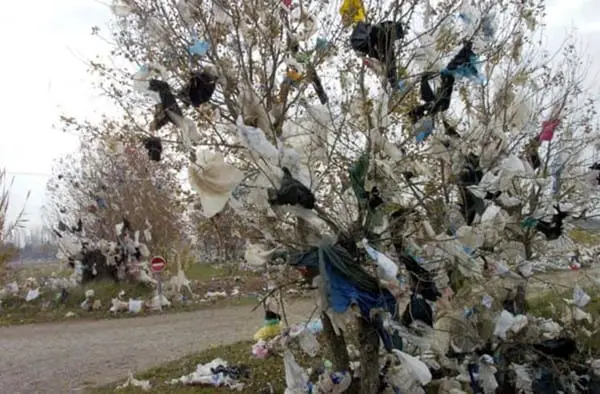 La pollution créée par les sacs plastiques