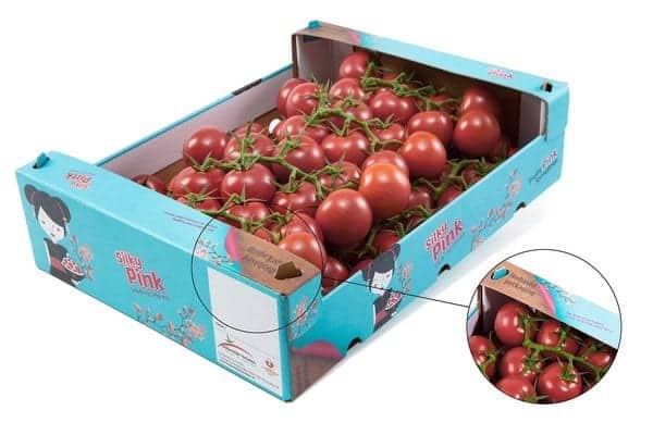 Du carton à base de tomates, ils l’ont fait !