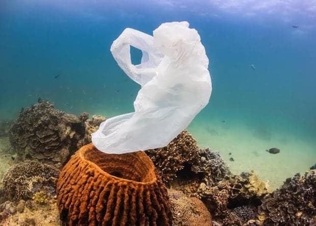 « plus de plastiques que de poissons dans l’océan en 2050… »