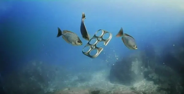 Six Pack Rings, l'emballage biodégradable