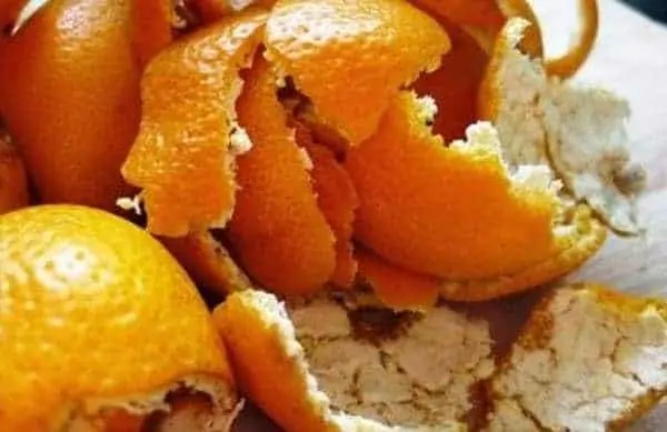 PLIMC, un bioplastique à partir de pelures d’oranges.