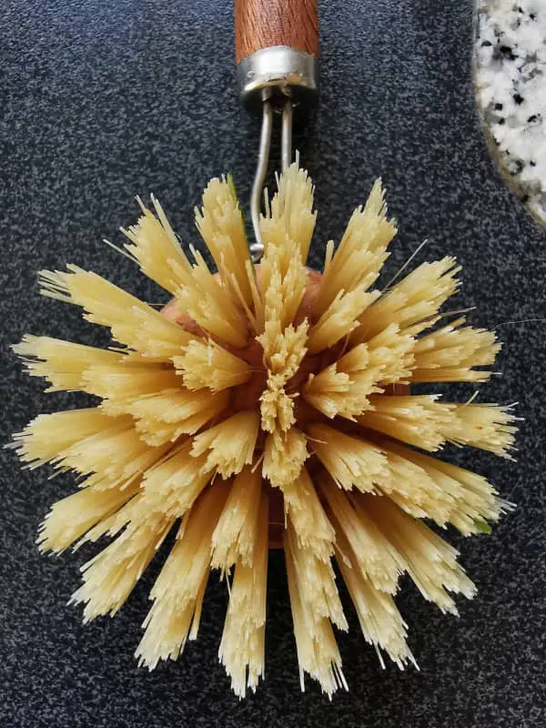 Brosse de nettoyage Solide